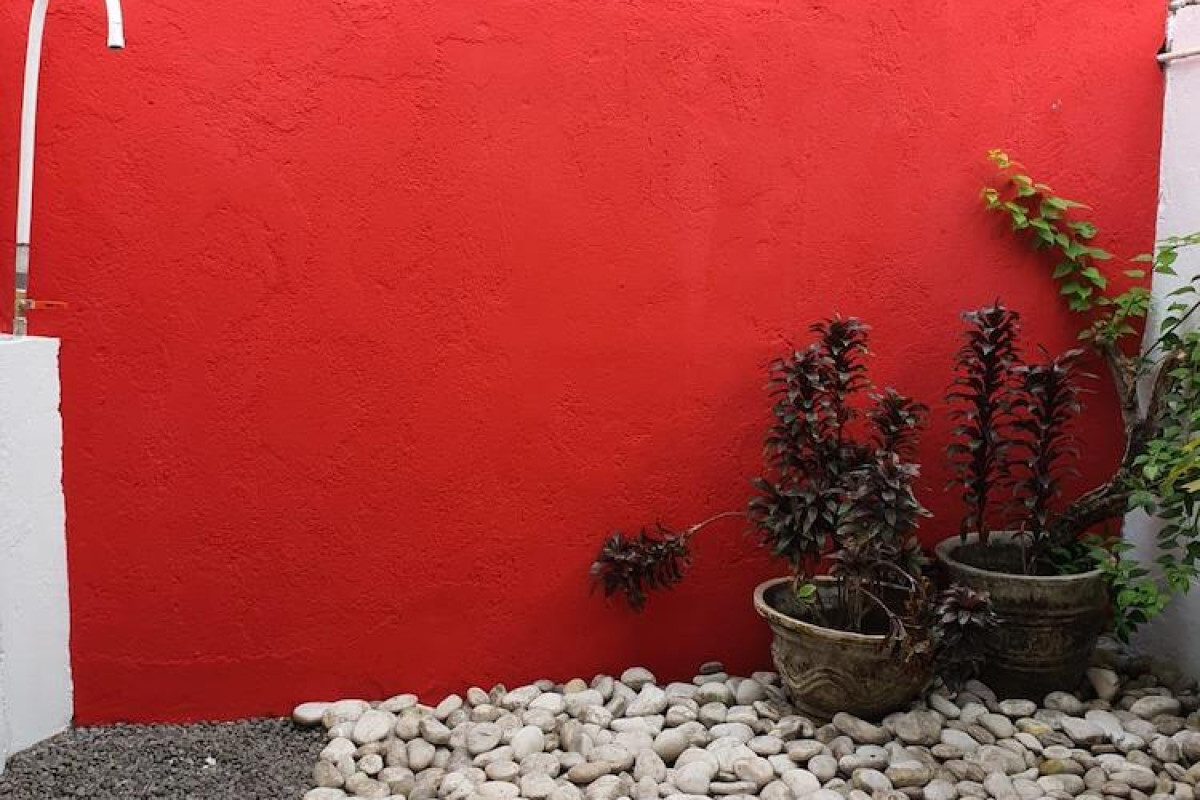 Zen Inn
