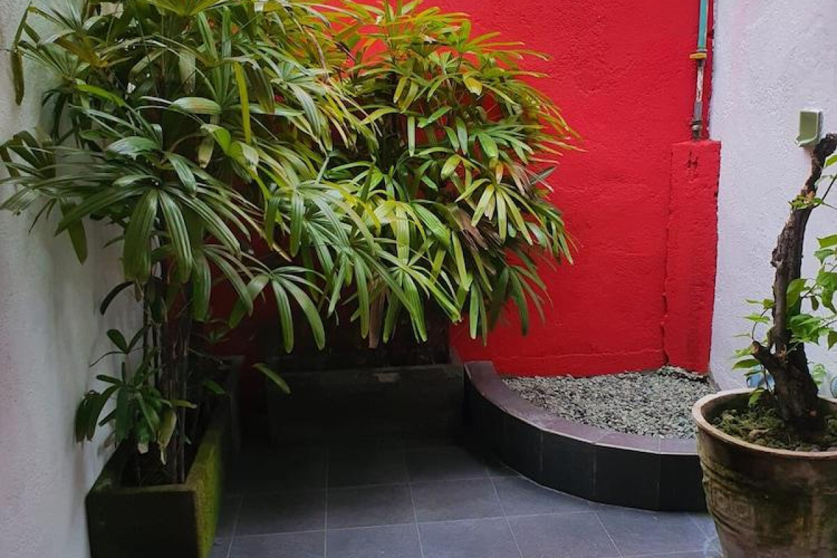 Zen Inn