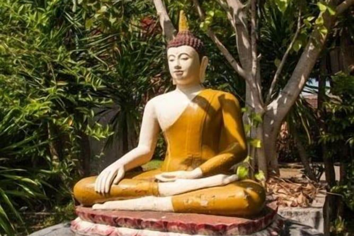 Zen Resort