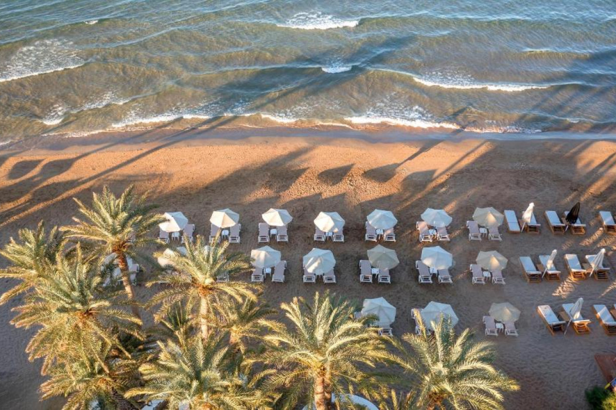 Zeus Hotels Palm Beach
