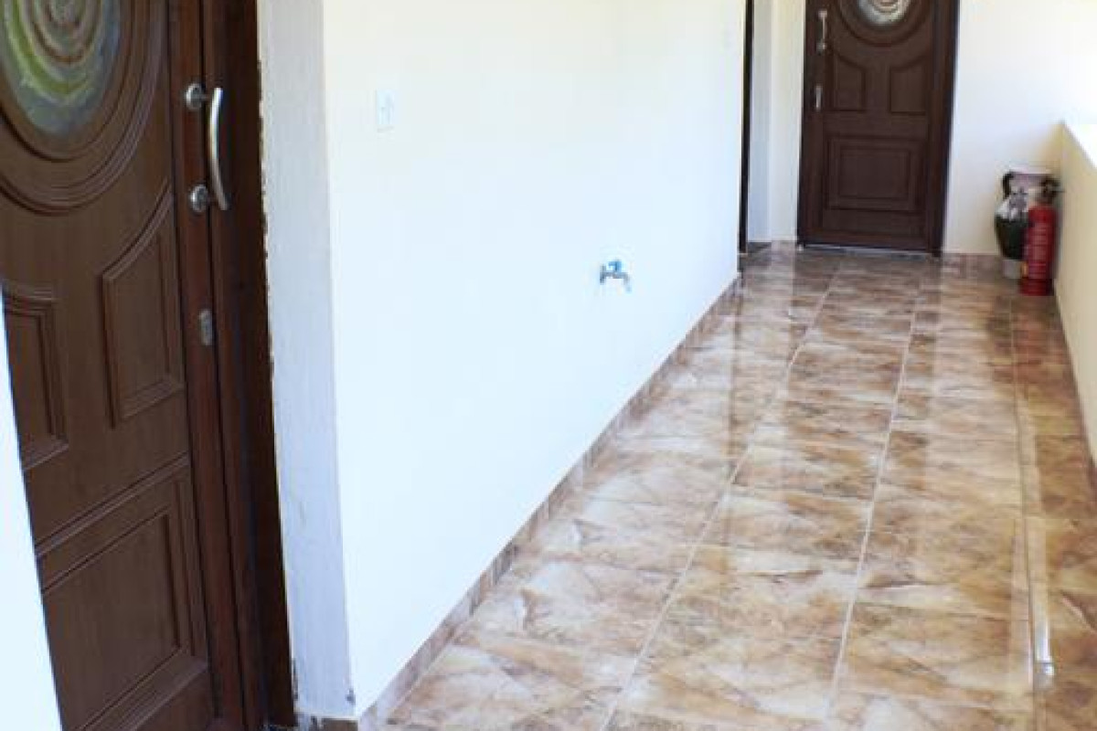 Zisios Studios