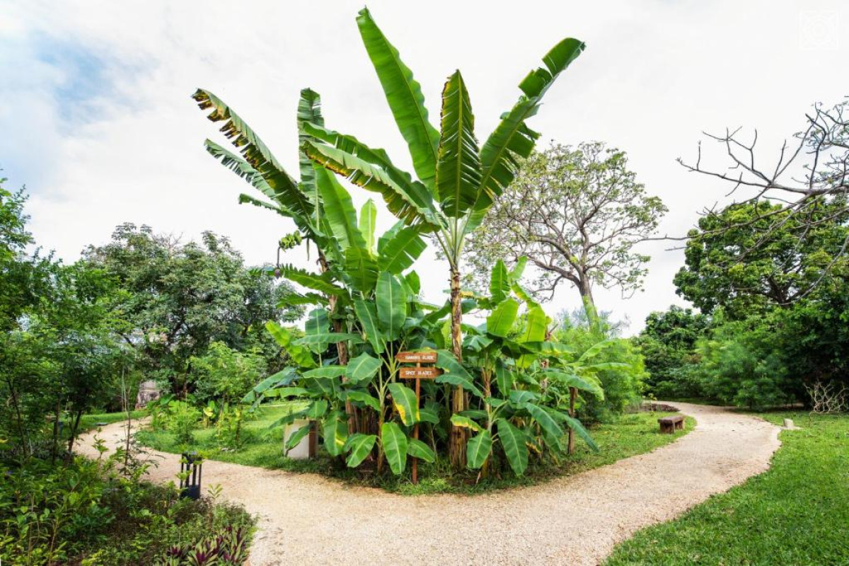 Zuri Zanzibar