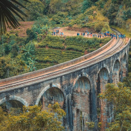 sri lanka - circuit, safari si sejur premium tours 2027 1