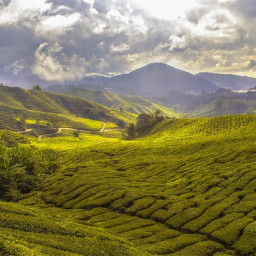 sri lanka - circuit, safari si sejur premium tours 2027 3