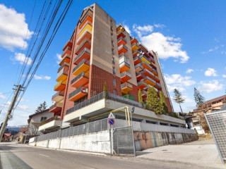 Asteri Garden  Terrace Apartment