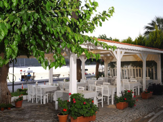 Teos Lodge Pansiyon  Restaurant