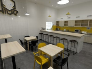 THE HIVE PARTY HOSTEL