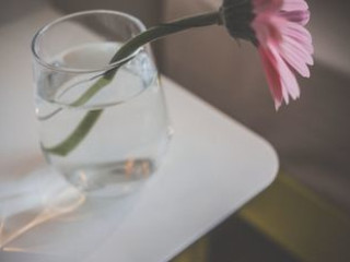 THE MAGAZINE HOTEL amp; APARTMENTS