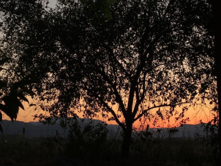 DALAMAN AIRPORT GUESTHOUSE