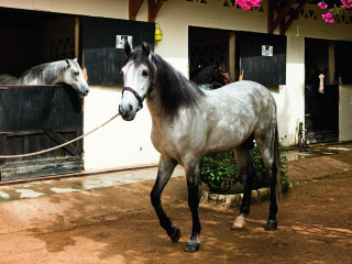 Movenpick Resort Sharm El Sheikh