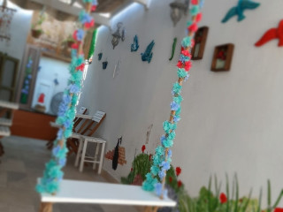 GULE CUNDA