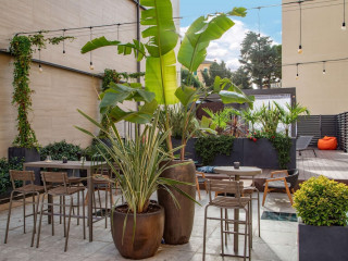 The Spring House Hotel Rome Vatican, Tapestry Collection Hilton