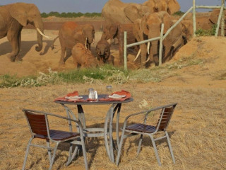 Bahari Beach and Safari Tsavo Explorer RO