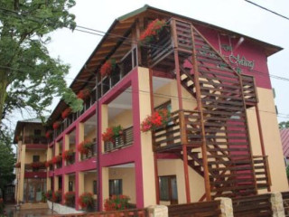Pension Delta Miraj