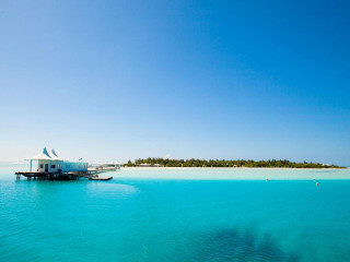 Cinnamon Hakuraa Huraa