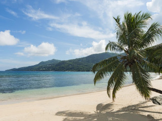 Fisherman'S Cove Resort