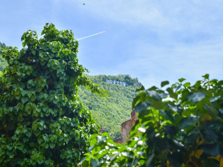 Sbold Town By Holztreppe