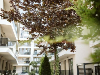 Dec Apartments 3*