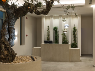 Tsamis Zante Suites