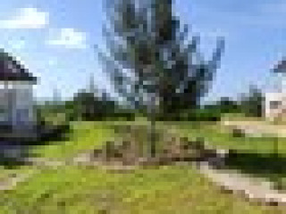 Amani Villas Nature Retreat