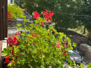 Pearl Hotel Istanbul