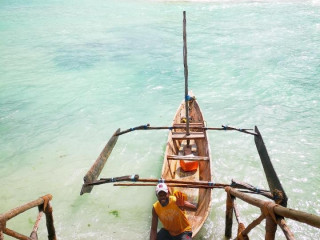 The Island Pongwe Lodge