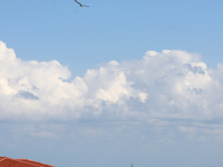 Panorama (St. Vlas) 3*
