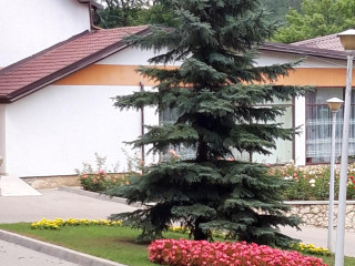 HOTEL CIRIC 
