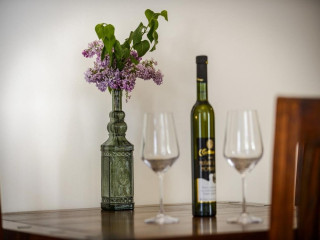 APARTMENTS FRANKA OLD TOWN