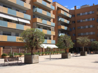 Suitur Barcelona Olympic