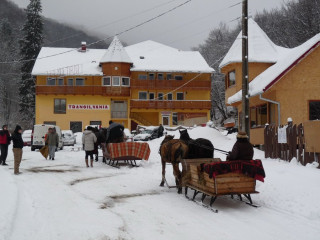 Transilvania