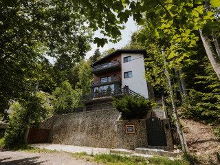 Forest Villa Apartments  Mountain View