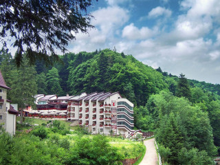 COMPLEX DOBRU