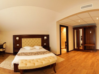Hotel Gabriela (Viseu de Sus)