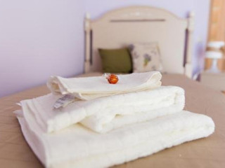 FLOARE DE CAMP AGROPENSIUNEA