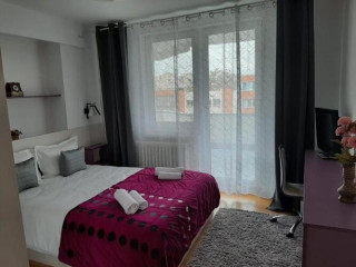 Chic Apartament