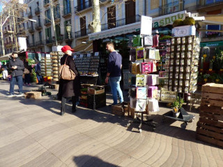 Moderno Barcelona