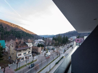 HOTEL ALEXANDRION EXPERIENCE ( fostul New Montana)