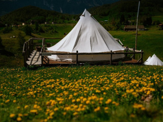 Ursa Mica Glamping Resort