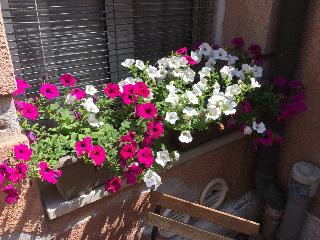 CANNAREGIO II APARTMENTS