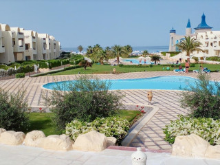 Gravity Sahl Hasheesh