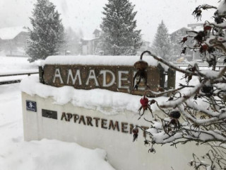 Amadee Appartements