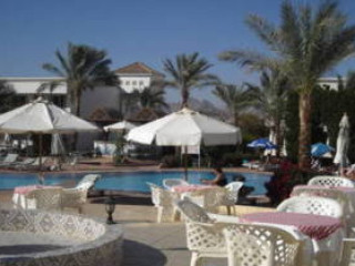 VIVA SHARM