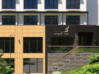 Carpat Inn