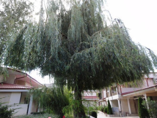 Vox Maris Grand Resort - Adults Only