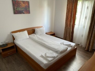 DELTA CRISAN FLAMINGO