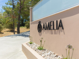 AMELIA RESIDENCE