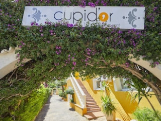 CUPIDOR