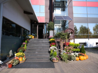 City Hotel