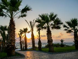 LOUIS PAPHOS BREEZE